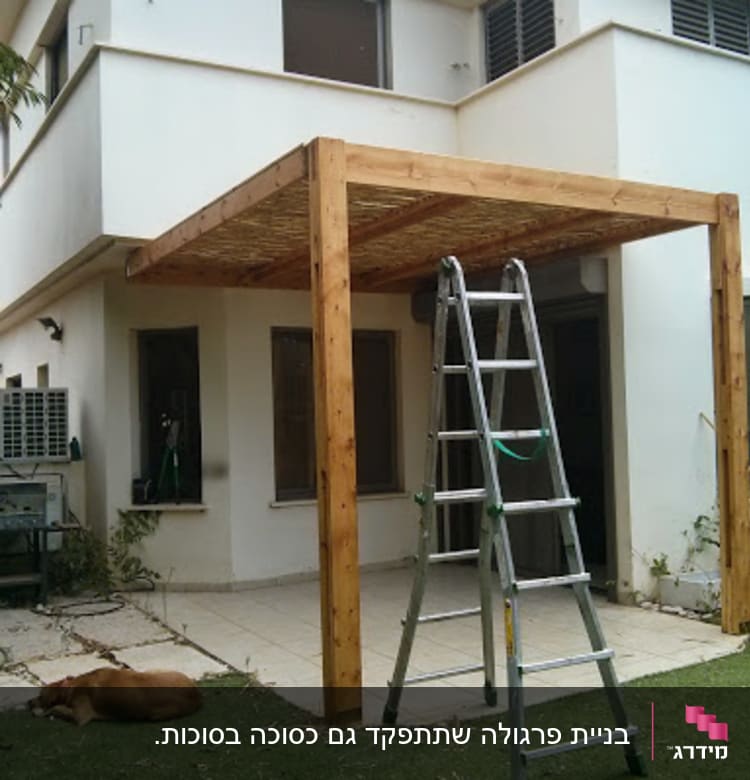 פרגולה מעץ עם סולם בחצר